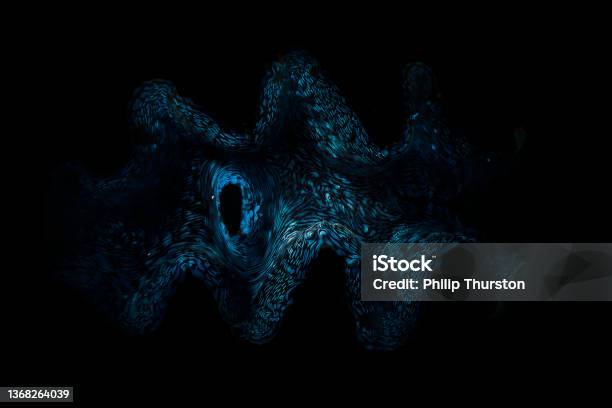 Darkly Lit Turquoise Blue Coral Reef Stock Photo - Download Image Now - Dark, Abstract Backgrounds, Black Color