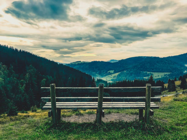 A bench on a mountain with a view of the Black Forest.