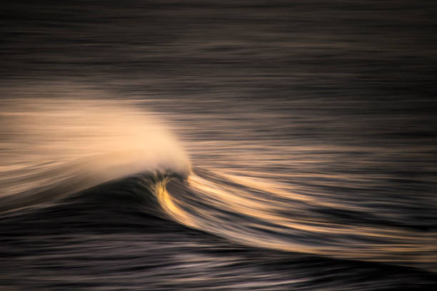 istock High angle view of dark ocean wave cresting out at sea 1368264250