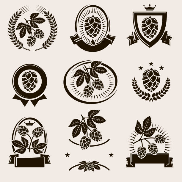 ilustrações, clipart, desenhos animados e ícones de rótulos de lúpulo e conjunto de elementos. saltos do ícone da coleção. vetor - craft ribbon flower black