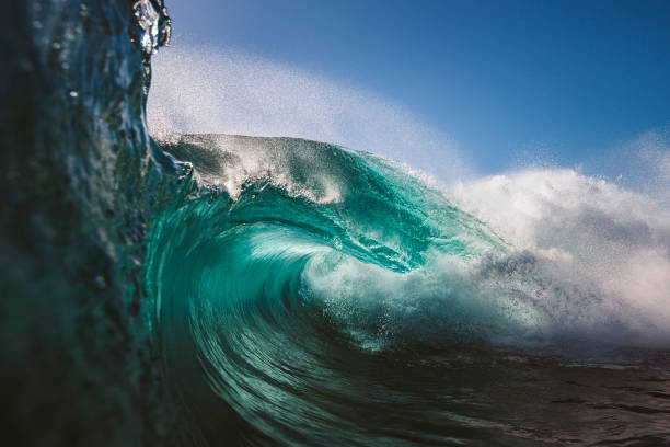 istock Majestic thrashing ocean wave 1368264475
