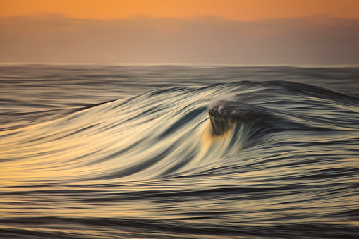 Smooth ocean wave gliding through golden morning light