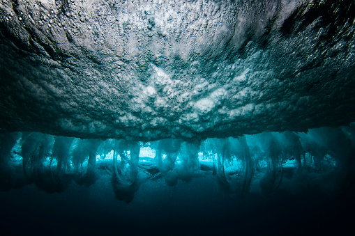 Underwater of breaking wave