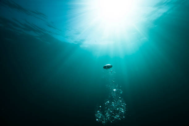 gotas de agua burbujeando hacia la superficie del océano debajo de rayos de sol brillantes - sunbeam underwater blue light fotografías e imágenes de stock