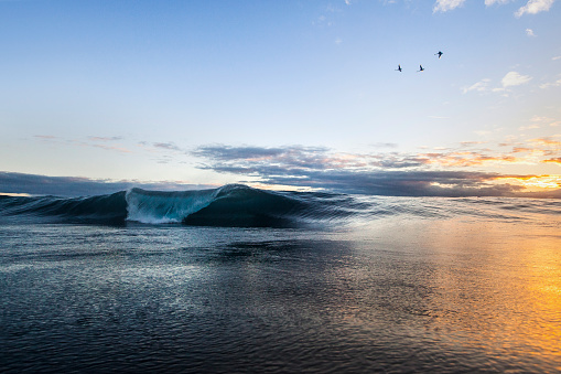 Wave barreling onto shore at sunset with birds flying above