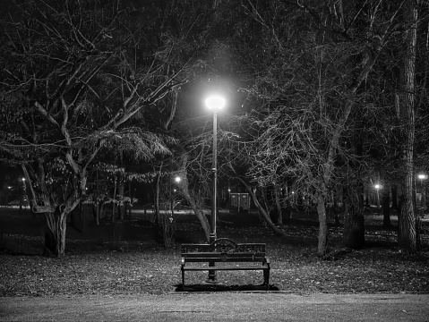 Footpath at night in the park. Alley in the park with light poles and benches. Black and white photography