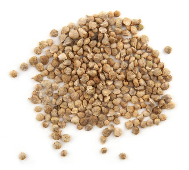istock Seeds of spinach  isolated on white background. 1368267099