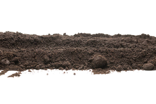 istock Black land for plant isolated on white background. 1368267217