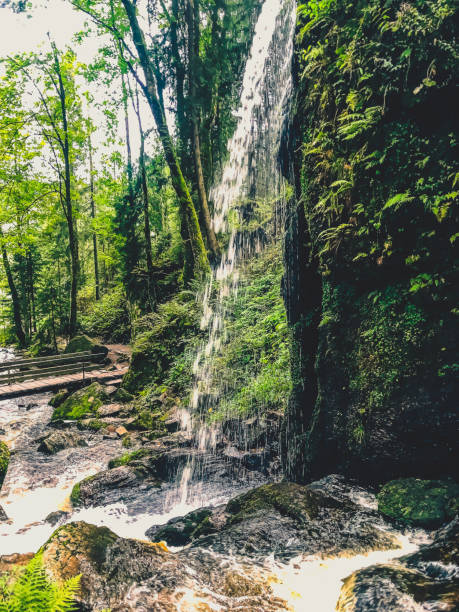 istock The waterfalls in the Black Forest. 1368267492
