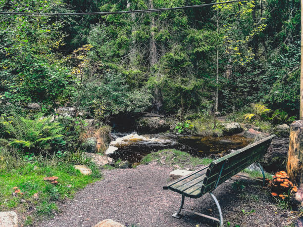 A river and bench in the Black Forest in Germany with many stones.