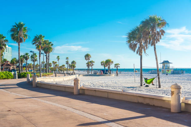 istock Clearwater beach with beautiful white sand in Florida USA 1368268817
