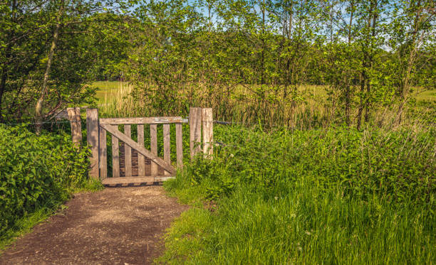 istock Wooden gate at the end of a sandy path 1368270154