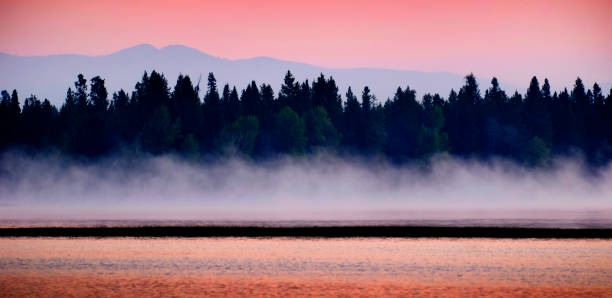 pôr do sol no lago com névoa subindo de pinheiros e montanhas em segundo plano - city of sunrise sunrise tree sky - fotografias e filmes do acervo