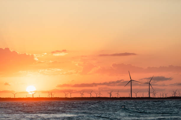 Silhouetted wind turbines for wind power generation as seen from Galinhos beach with setting sun in the background, Rio Grande do Norte, Brazil. Canon Mark IV.