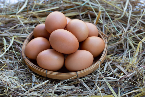istock Fresh organic eggs in bamboo basket on straw nest 1368271222