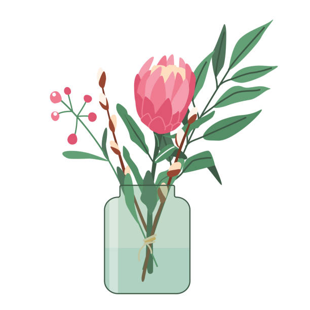 illustrations, cliparts, dessins animés et icônes de bouquet de fleurs en vase illustration vectorielle. fleur florale en bouteille avec des feuilles et des brindilles. décoration printanière dans un style plat de dessin animé simple et moderne pour la conception d’impressions de vacances - fleur de pavot plante