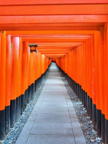 A set of vermilion Torii gates at Fushimi Inari Taisha, Kyoto stock photo