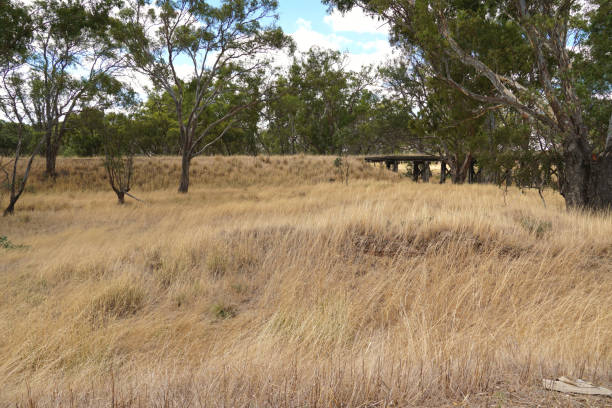 istock Horsham,  Victoria, Australia 1368275551
