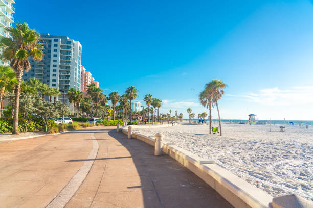istock Clearwater beach with beautiful white sand in Florida USA 1368276009