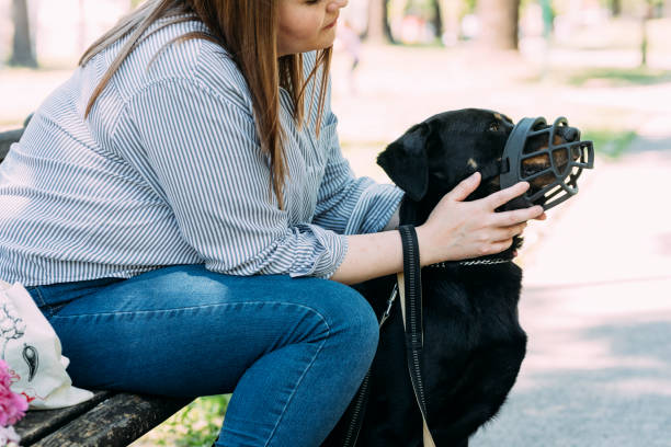 istock A Caucasian Female Holding Her Dog That Is Wearing A Muzzle 1368277117
