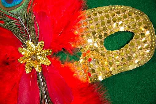LV Mardi Gras sequined mask, decorated with feathers.  Green background.