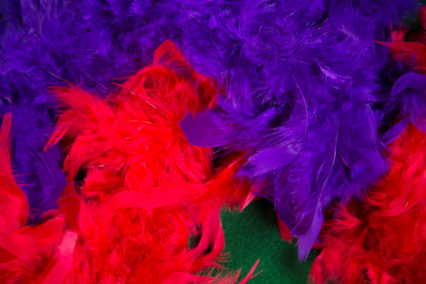 LV Mardi Gras feather boas.  Red, purple and green.