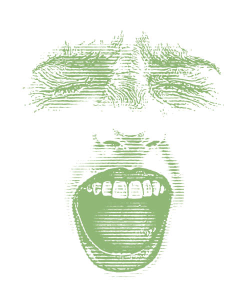 высокая ключевая иллюстрация женщины, кричащей - mouth open women screaming human face stock illustrations