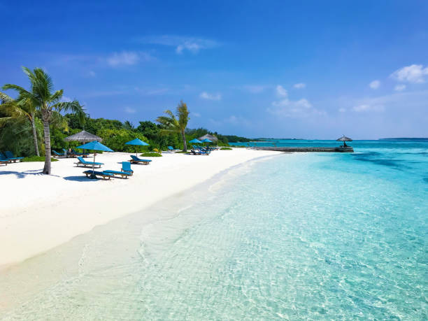 istock Lounge chairs in Maldives, Herathera island, Addu atoll 1368286904