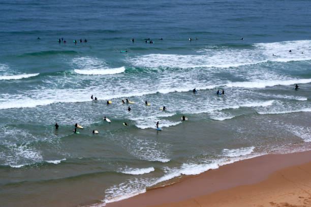 les surfeurs amateurs au bord de la mer commencent une leçon de surf. - azenhas do mar photos et images de collection