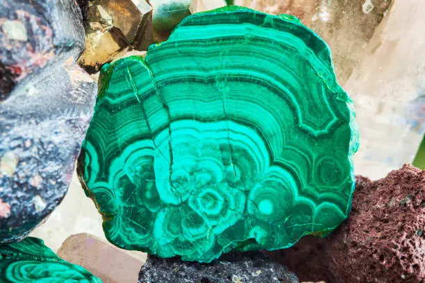 Polished green malachite with cracks. Minerals collection. Ornamental stone and mineralogy concept