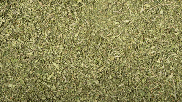 texture of green dried cannabis leaves, marijuana background stock photo