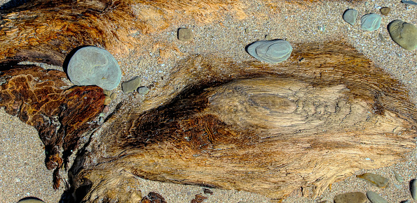 Driftwood partially buried in sand makes a rich sea side background
