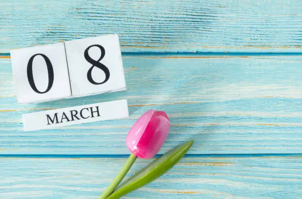 8 March date written on white cubes with pink tulip flower on bright blue wooden background with copy space. International women's day (mother's day) concept. Top table view.