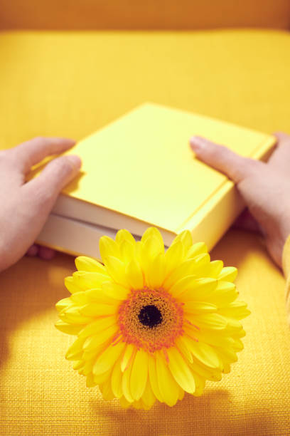istock A yellow chair with a book in hands in which a flower is placed. 1368296662
