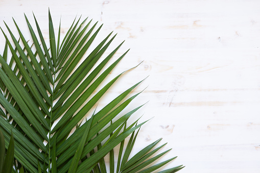 30,000+ Palm Sunday Pictures | Download Free Images on Unsplash
