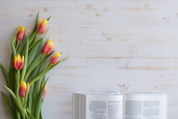istock Border of tulips and open bible 1368304191