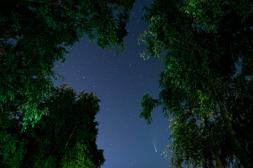 Comet in the night sky. Summer starry sky. Stars on the sky. Beautiful night landscape. Long exposure