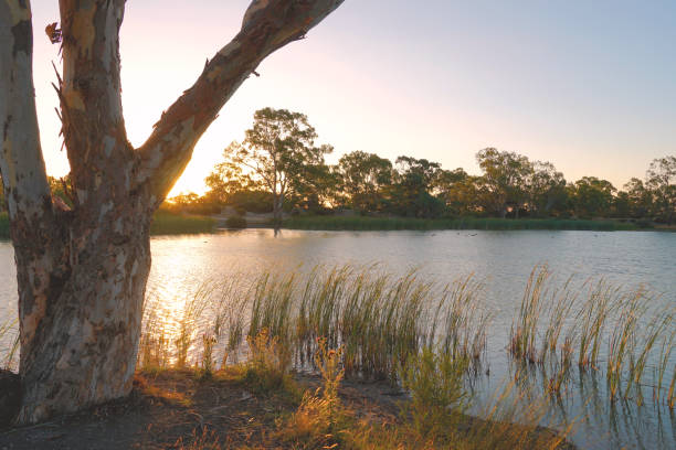 istock Horsham,  Victoria, Australia 1368309678
