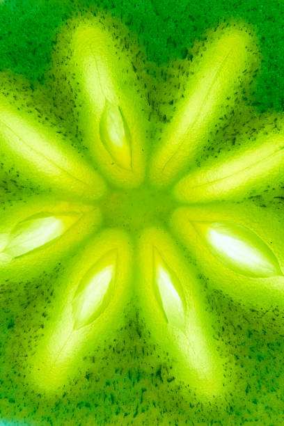 istock A close-up of a fresh persimmon painted green with a glowing core. Full depth of field. Bright light in the middle of the fruit 1368309769