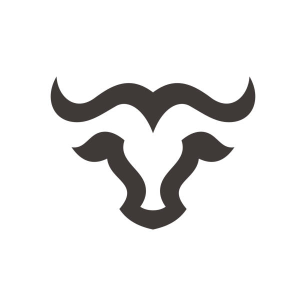 ilustrações, clipart, desenhos animados e ícones de design simples de logotipo de cabeça de desenho. cara de gado de vaca taurus, vista frontal, linha, ícone vetorial simétrico - bull texas longhorn cattle horned white