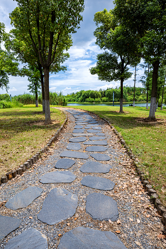 Stepping stone path in the natural parkland