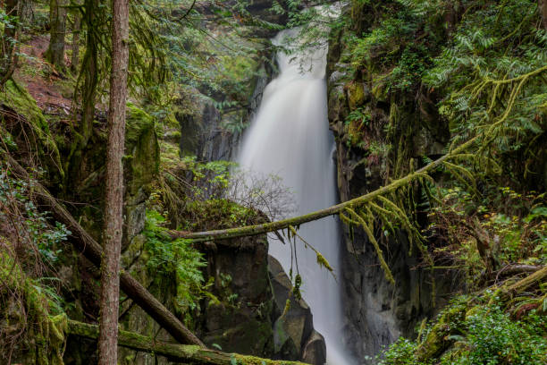 istock Falls in Cypress Falls Park, West Vancouver, BC, Canada 1368317584