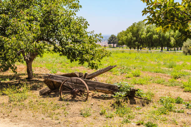Old rusty farm trailer sitting alone in a harvested field under a wide blue sky