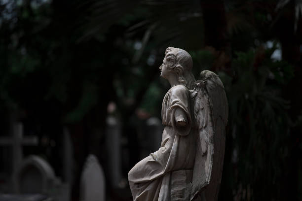istock Statue of winged angel in cemetary, blurred background 1368320354