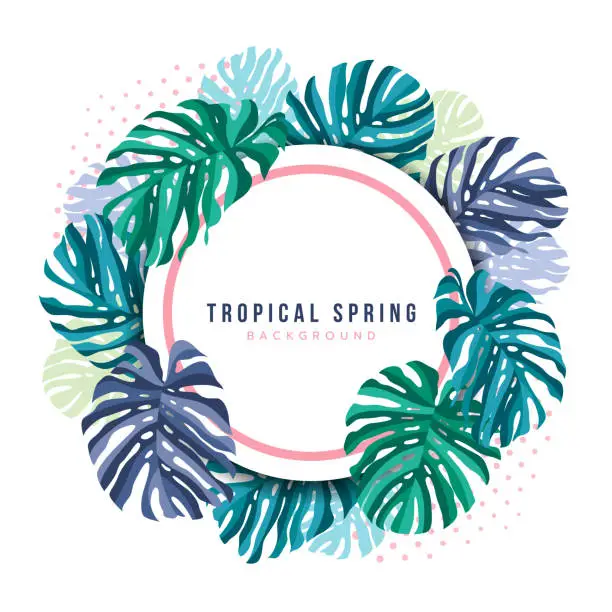 Vector illustration of Tropical spring Background wit - Monstera Leaves around and circle banner with pink frame Vector Design