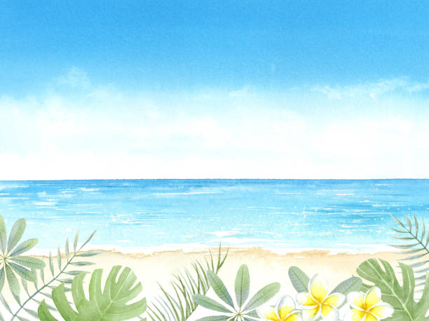 Watercolor illustration of summer image background Watercolor illustration of summer image background. drawing of the hawaii islands stock illustrations