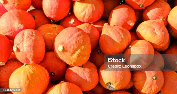 A Heap Of Ripe Pumpkins Stock Photo - Download Image Now - Austria, Autumn, Color Image