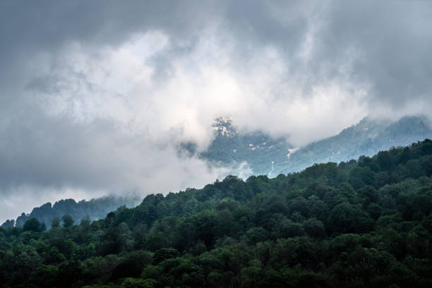 Calm before storm. Low overcast clouds sank on the forest in the mountains