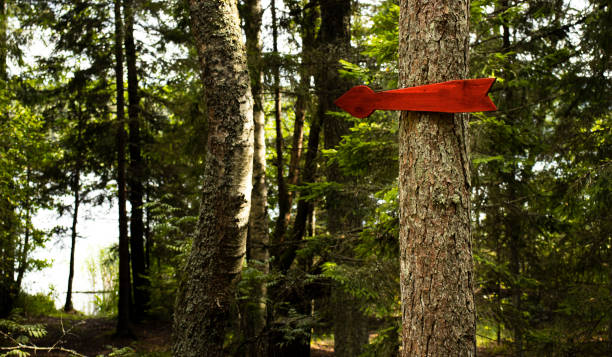 istock red arrow pointer made of wood on a tree in the forest 1368330432