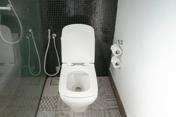 istock Toilet bowl in modern homes 1368330472